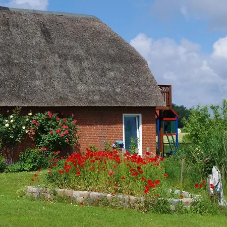 Ferienwohung Ii Pellworm