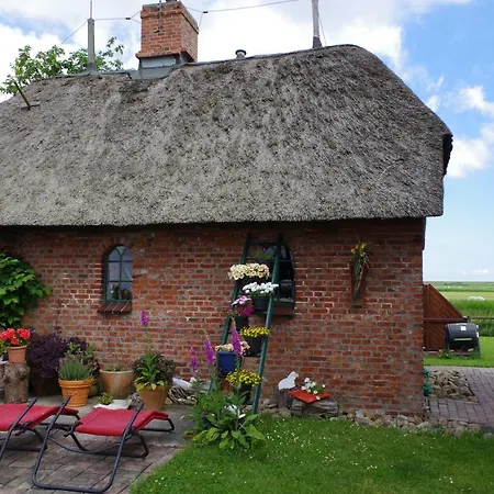 Ferienwohung Ii * بيلفورن